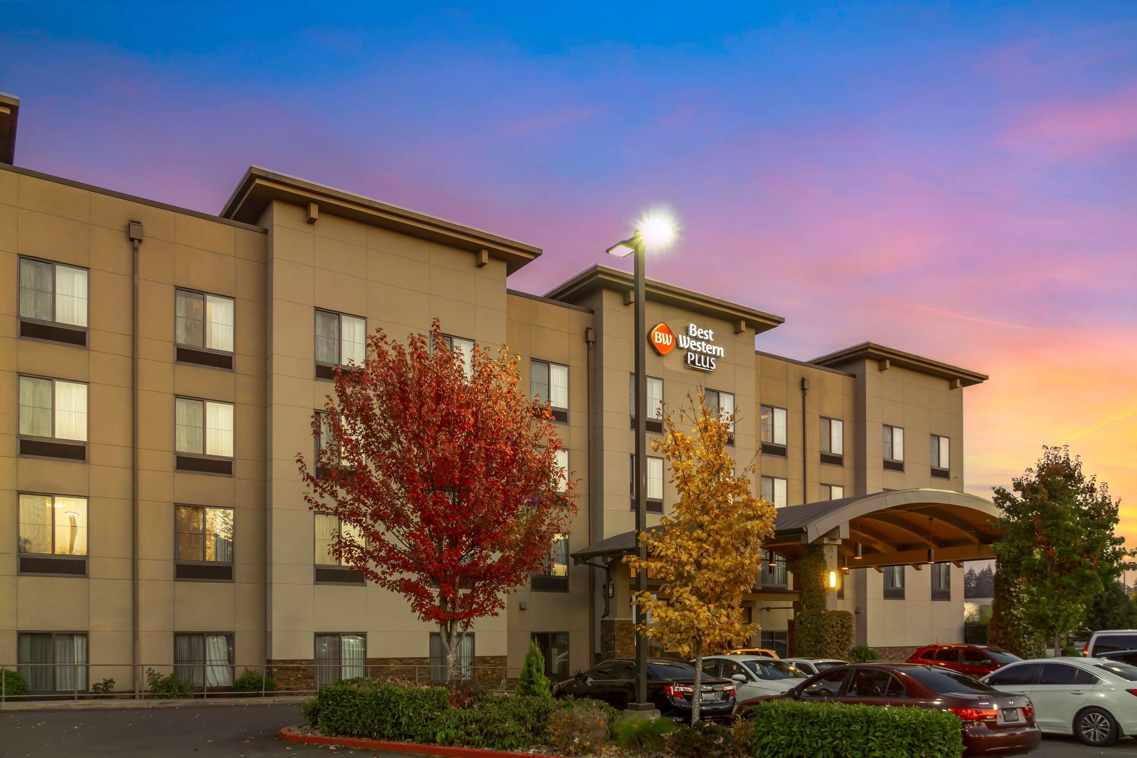 Staying Near Lacey City Museum: 4 Olympia Hotels Compared
